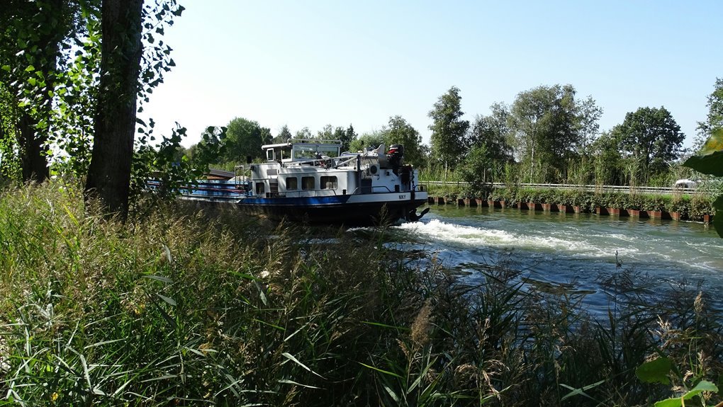 operational flow summary report